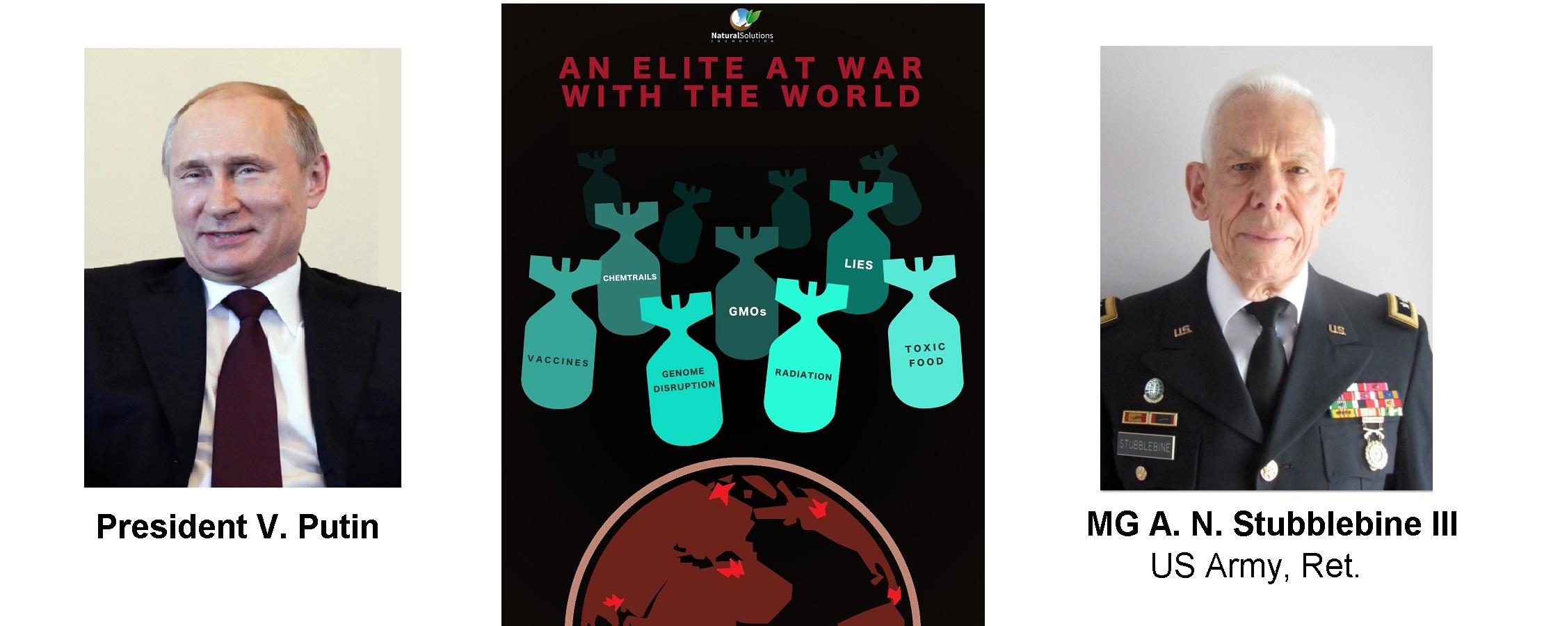 Bert-eBook-cover-banner