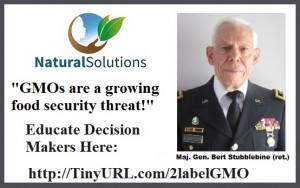 Bert.GMO.banner