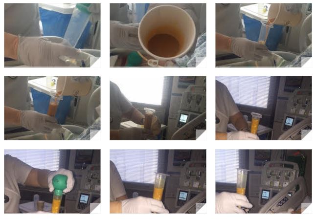bert-nutrient-broth