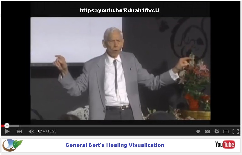 berthealingvideo-screenshot