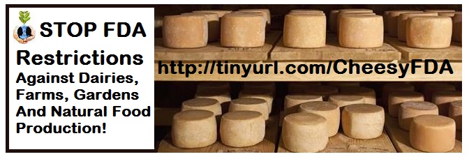CheeseBoardBanner