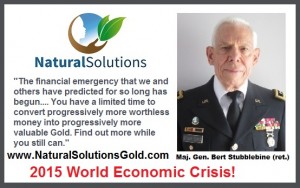 EconCrisi.GenBert