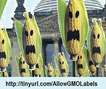 GMO.Label.Allow.banner