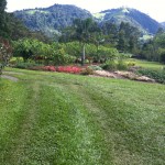IMG_0592 IMG_0592