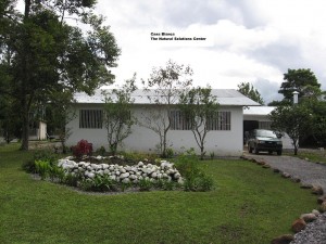 The Natural Solutions Center