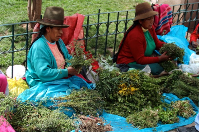 mercado_de_san_pedro_herb_ladies